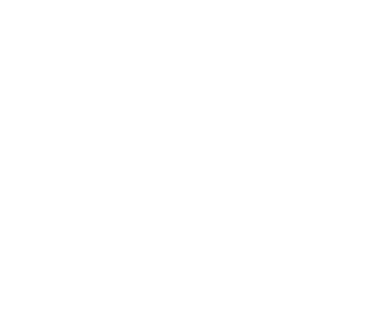 DuduluRun Logo